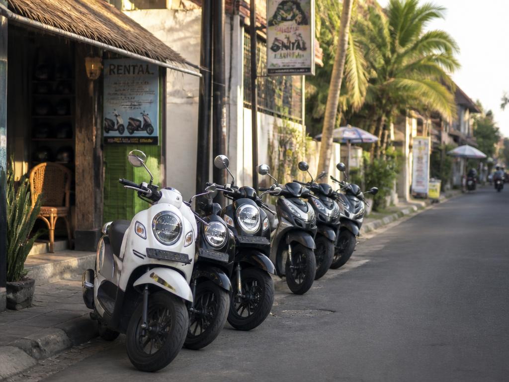 Car & Scooter Rental